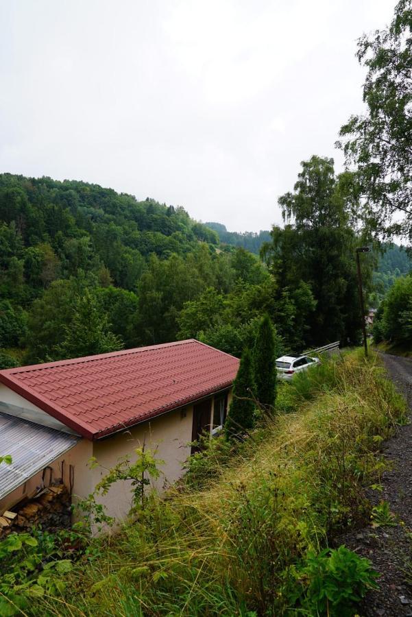 Ruhiges Ferienhaus Am Waldrand Mit Sauna Und Kamin - Hellaberg II Langenbach  Exterior photo